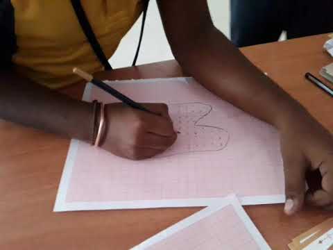 Finding area using a leaf and a chart paper.