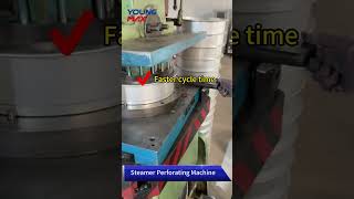 Steamer Perforating Machine｜One-step punching solution