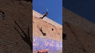 Dog Epic Fly Jump #petlover #doglover #dogjumping