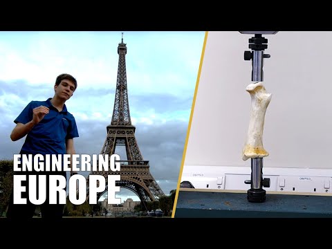 Can We Build With Bones?