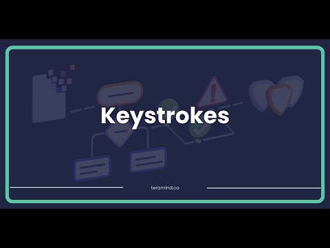Teramind Employee Page - Keystrokes