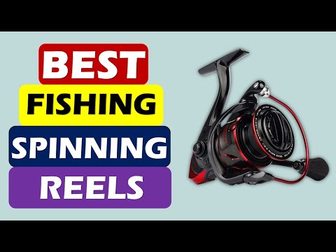 Top 5 Best Fishing Spinning Reels in 2024 From AliExpress