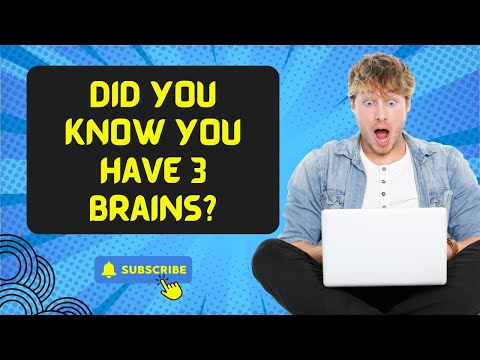You Have 3 Brains: How to Use Them for Success | Unlock the Power of Mind, Heart & Gut