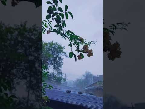Monsoon Capture With Mobile #shorts #monsoon