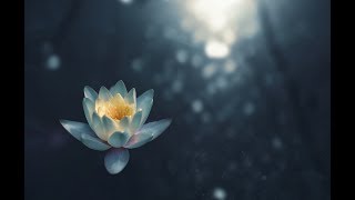 ➡️ Guided Meditation - Learn to Visualize and Relax