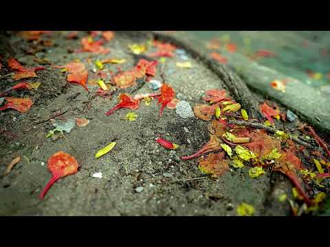 7 bản thu mà mình ưng ý nhất từ 2011 đến nay ^_^.