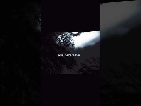 kya mohabbat hai|curve lyric status #statuswa