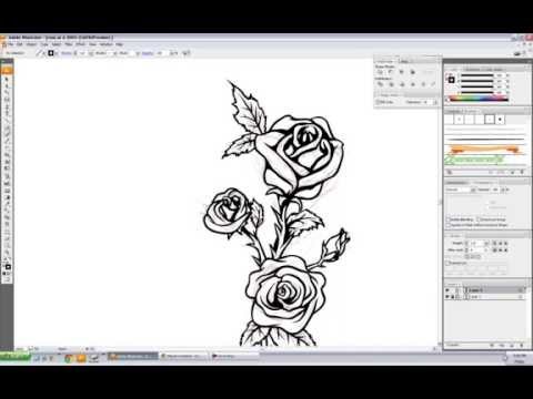 Vector Rose Speed Drawing - Illustrator