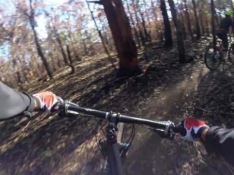 Loftus Single track