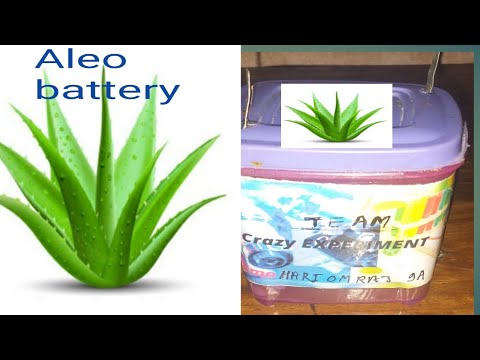 How to make aloe batter