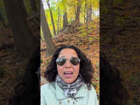 The TRUTH About Daycare VS Camp Sales Revealed!