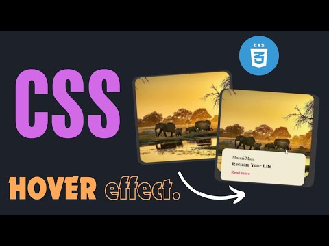 Elegant  Card Hover Effect with HTML & CSS