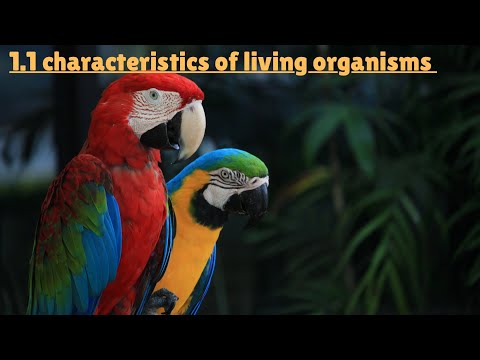 1.1 Characteristics of Living Organisms