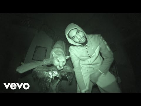 Sheck Wes - PAIN! (Official Music Video)