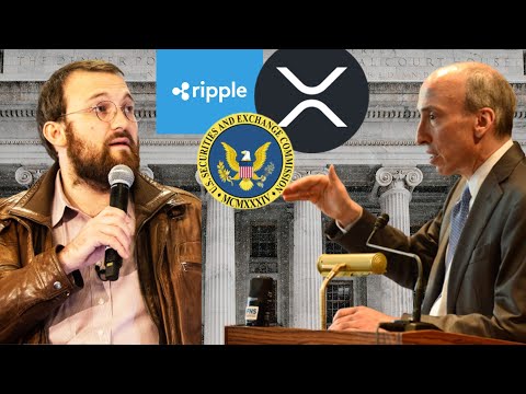 SEC RIPPLE XRP LAWSUIT OVER! (MAJOR RUMOR)