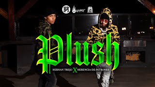 Herencia De Patrones x Hernan Trejo - Plush [Official Video]