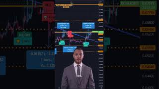 Crypto Insights Unveiled: Robo Trading Chronicles (DOGE) (watch until the end!)