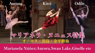 【厳選バレエ】マリアネラヌニェス特集　オーロラ姫・金平糖・ロミジュリ等６作品| Best of Marianela Nuñez