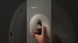 Just a ball ❤️ #ballpython #piebald #piedballpython #silly