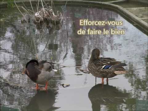 Romains 12:17