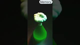 Memory Battle II Brains Vs Computers