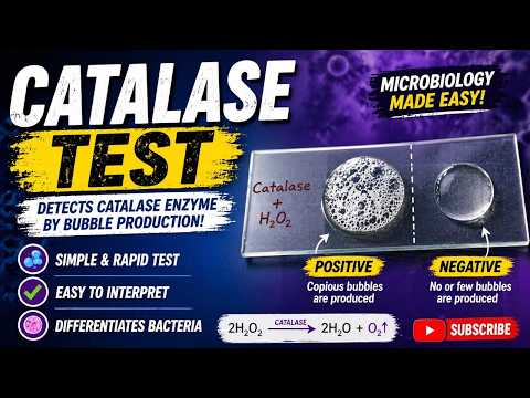 Catalase Test Explained | Positive And Negative (100%) #mbbs #nursing  #labtechnician #microbiology