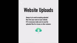 5 Tips to protect your Website ❤️ #hackingtips #ethicalhacking #techphoenixomkar