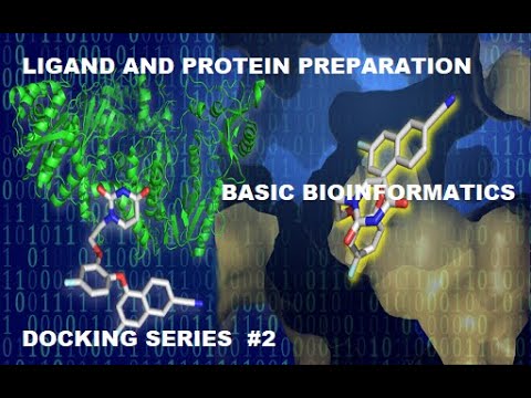 Target Protein and Ligand Preparation