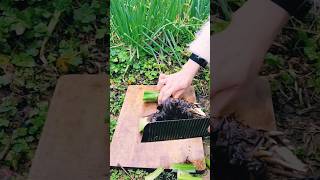 #agritools #farmer life #tonglufeng #agriculture #agritool #youtubeshorts #viral