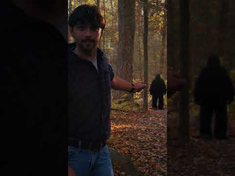 Love Bigfoot? Check out our new documentary WILLOW CREEK, out now #horror #cryptids #movie #bigfoot