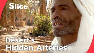 How Moroccan Oases Survive ? The Khettara Underground Irrigation System | SLICE