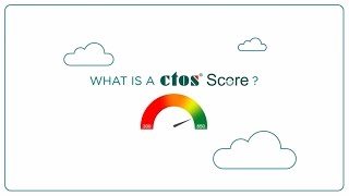 What is CTOS Score? English
