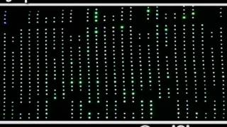 OmniSistem || LED GRAPHICS CURTAIN