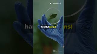 Green Nanocomposites: The Future of Catalysis! #sciencefather #researchawards  #antimicrobial