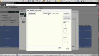 merge all selected items in the webapp Automation System in a cloud for sell on Amazon, Ebay