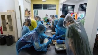 🧠 Exploring Science Beyond the Textbook