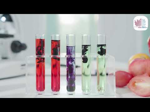 🧪 Love experiments? Obsessed with microscopes?