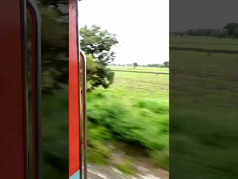 sali rukti kese hai #shorts #indianrailways