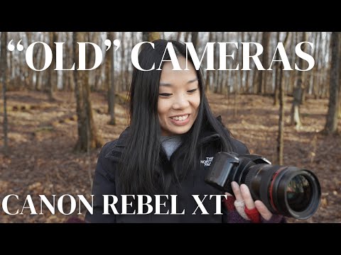 embracing old camera gear: canon rebel xt