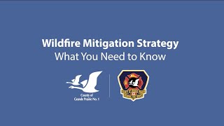 2025 Wildfire Mitigation Strategy