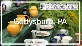 VLOG - Form Follows Function - The Lion Potter