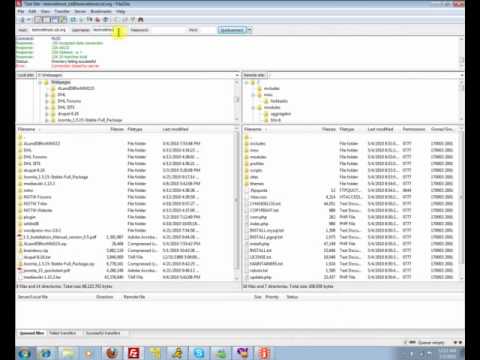 Zymic FTP Access