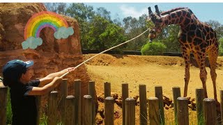 Zooventure: A Wild Day at the Zoo | 1-Hour Spectacular Safari Experience!