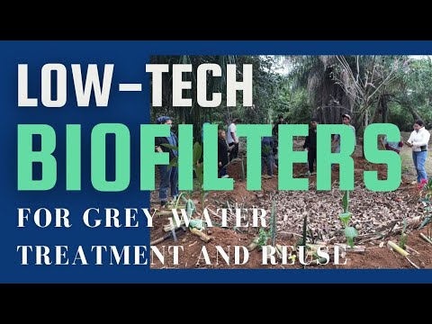 Low-Tech Biofilters for Grey Water Treatment and Direct Reuse