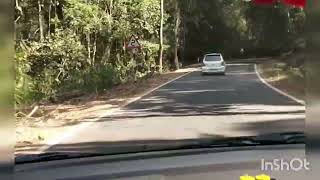 joyful drive