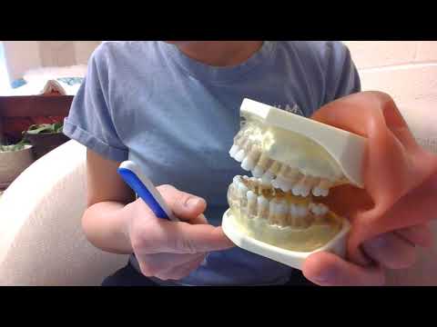 Toothbrushing Methods