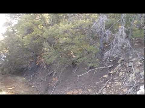25 acres APN30970 - On Site 6