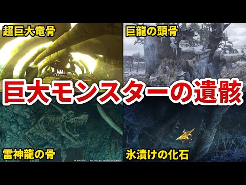 [Monster Hunter] A compilation of the remains of the most dangerous monsters [Slow commentary]