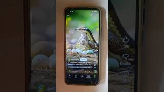 Smart Appliances!, Tools Items, New Gadgets, Versatile Utensils, #shorts #viral #foryou #shortsfeed