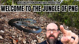 Boelens Python Basking & Nesting In The Jungles Of PNG... RAW FOOTAGE!